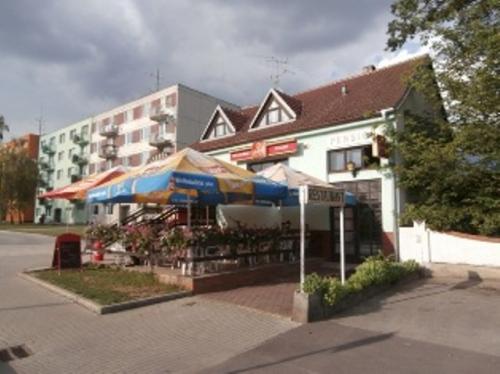 Foto - Ubytování v Hrušovanech nad Jevišovkou - RESTAURACE - PENZION