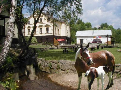 Foto - Ubytování v Lučanech nad Nisou - Pension a ranč U potoka