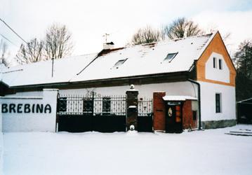 Foto - Ubytování v Drahubudicích - Pension Brebina