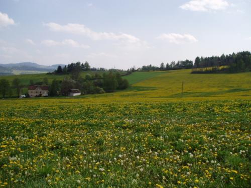 Foto - Ubytování ve Čkyni - Penzion a chata Na Vápence