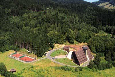 Foto - Ubytování ve Velkých Losinách - Hotel*** DIANA