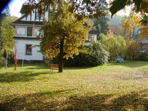 Foto - Ubytování v Trutnově - Villa Livia